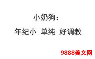 又软又甜像颗糖txt下载、甜蜜诱惑，如糖般软绵，尽在下载