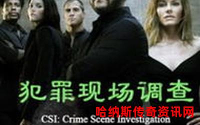 csi犯罪现场lv小说;迷局解锁：CSI犯罪现场LV