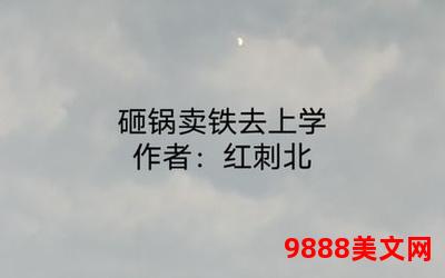 砸锅卖铁去上学txt,砸锅卖铁上学路